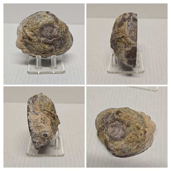 Quartz Crystal Agate Sparkling Geode With Stand - Picture 7 of 8